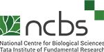 Logo 6