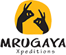 Logo 16